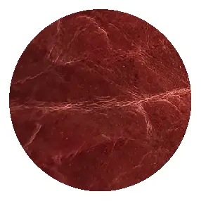Cellulosa